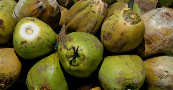 We go loco for coco: los productos dominicanos hechos con coco